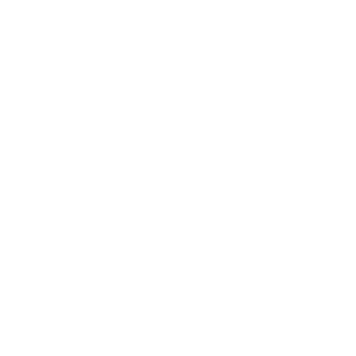 FS Food Group
